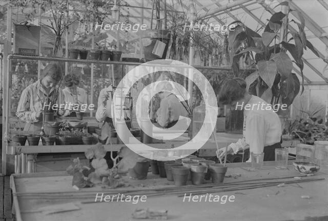 Botany, Barnard, between c1915 and c1920. Creator: Bain News Service.