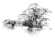 Eastwell Park: the Lake, 1895. Creator: Unknown.