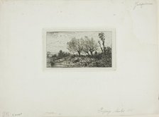 Landscape, Willow Trees, c. 1845. Creator: Charles Emile Jacque.