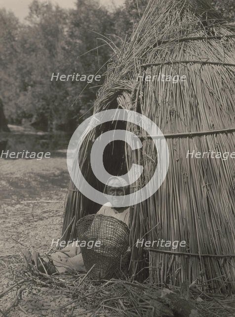 Construction of a tule shelter-lake Pomo, 1924. Creator: Edward Sheriff Curtis.