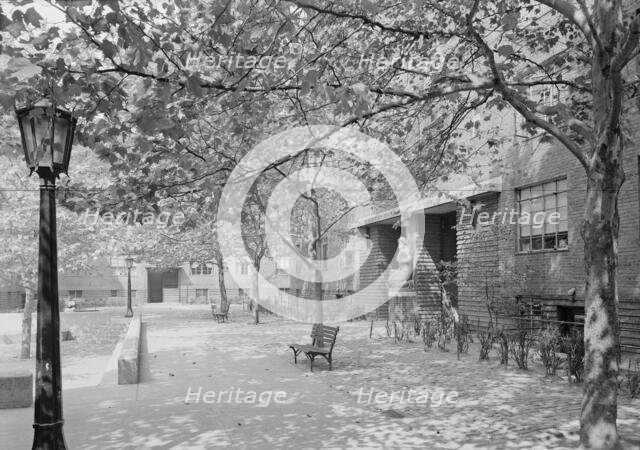 Harlem River Houses, 7th Ave. and 152nd St., New York City, 1951. Creator: Gottscho-Schleisner, Inc.
