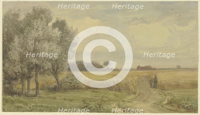 Cornfield in the summer, mid-late 19th century. Creator: Karl Peter Burnitz.