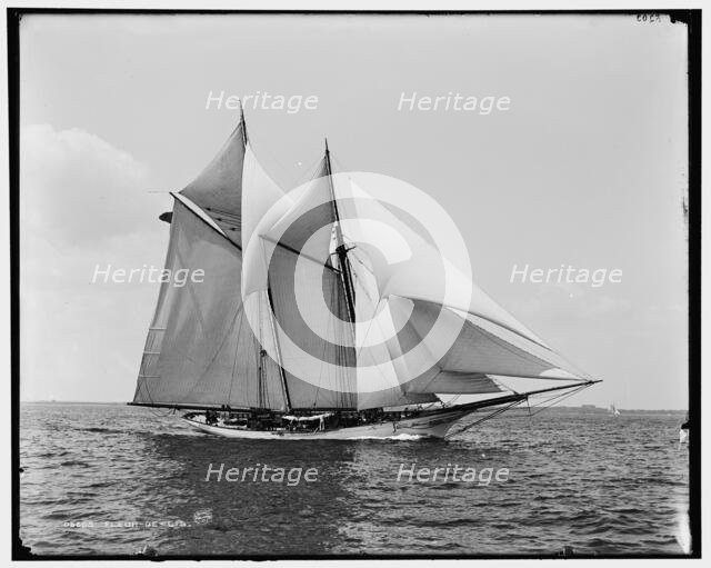 Fleur-de-lis, between 1880 and 1899. Creator: Unknown.