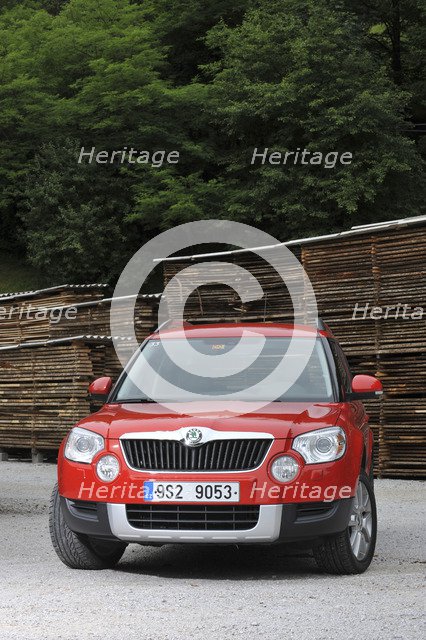 Skoda Yeti 2009. Artist: Simon Clay.