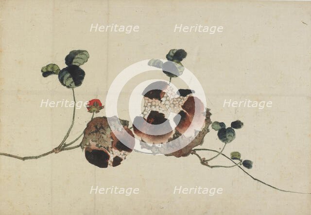 Pomegranates, late 18th-early 19th century. Creator: Hokusai.