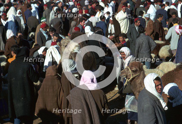 Camel market in Sousse, Tunisia. Artist: Unknown