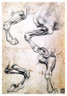 'Four studies of horses' legs', c1500. Artist: Leonardo da Vinci