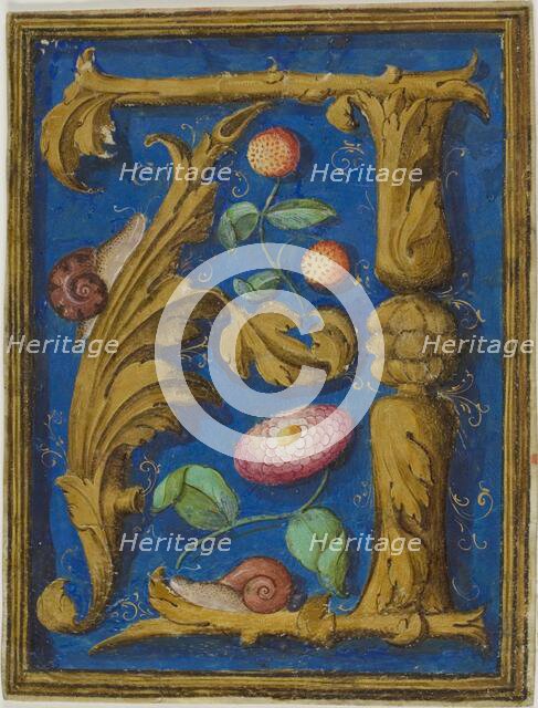 Snails, Strawberries and a Flower in a Decorated Initial "A" from a Manuscript, n.d. Creator: Unknown.