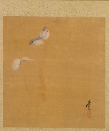 Leaf from Album of Seasonal Themes: Maple Leaves and Feather, 1847. Creator: Shibata Zeshin (Japanese, 1807-1891).