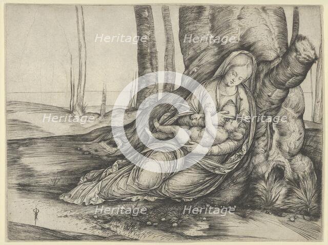 The Madonna nursing the Christ Child at the foot of a tree, ca. 1502-3. Creator: Jacopo de' Barbari.