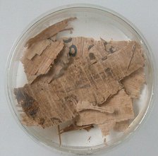 Papyri Fragments, Coptic, 7th century. Creator: Unknown.