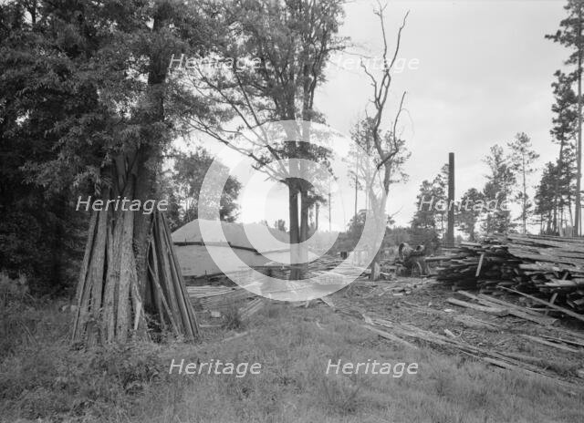 Small portable sawmill, near Chapel Hill, North Carolina, 1939. Creator: Dorothea Lange.