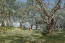 Olive grove in Mentona, 1893. Creator: Christian Zacho.