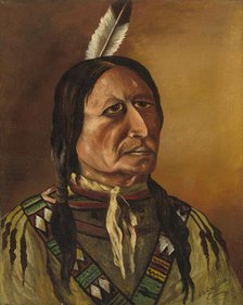 Plains Indian, fourth quarter 19th century. Creator: J.W. Bradshaw.