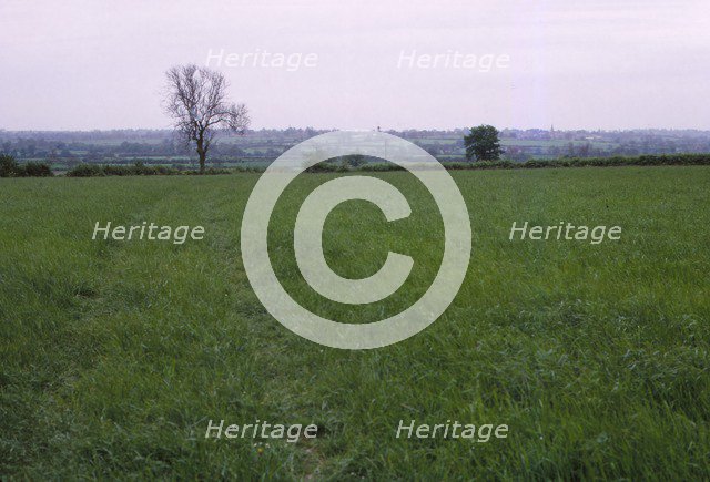 Bosworth Field. Leicestershire, England, 20th century. Artist: CM Dixon.