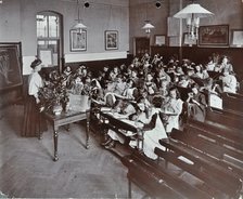 Nature lesson, Albion Street Girls School, Rotherhithe, London, 1908. Artist: Unknown.