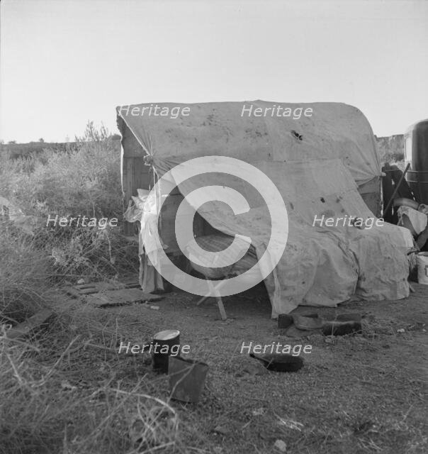 Oklahomans encamped on a river bottom near Holtville, California, 1937. Creator: Dorothea Lange.