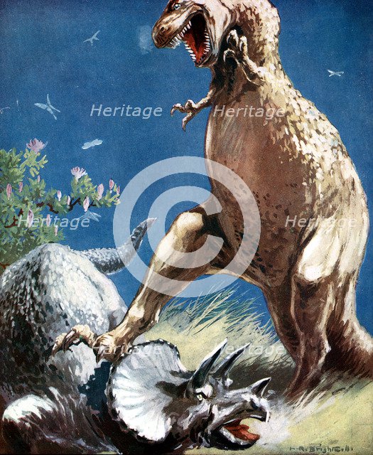 Triceratops, a horned dinosaur, held down by a Tyrannosaur, c1920. Artist: Unknown