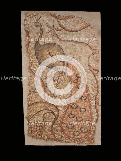 Mosaic Fragment with Peacock Facing Left, 5th-6th century. Creator: Unknown.