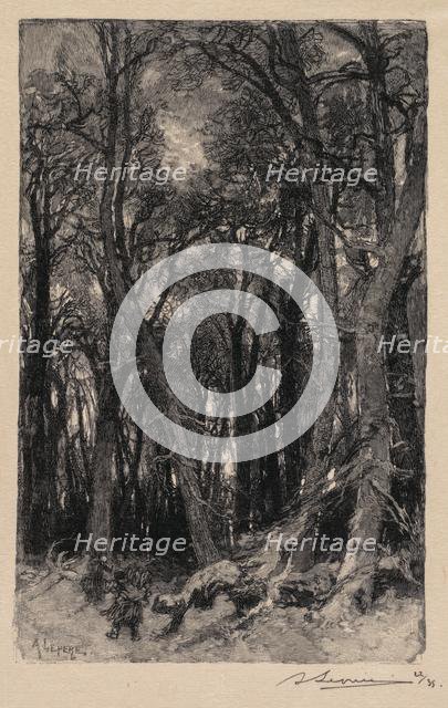 Fontainebleau Forest: Bas-Bréau (La Forêt de Fontainebleau: Le Bas-Bréau), 1890. Creator: Auguste Louis Lepère (French, 1849-1918); A. Desmoulins, Published in Revue Illustrée, 1887-90.