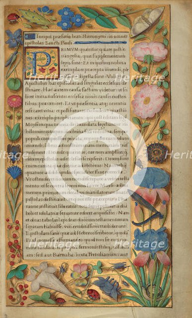 Decorated Text Page; Getty Epistles, about 1528-1530. Creator: Master of the Getty Epistles.
