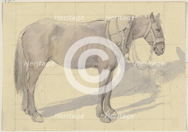Bridled horse, c1830-1872. Creator: Jakob Becker.