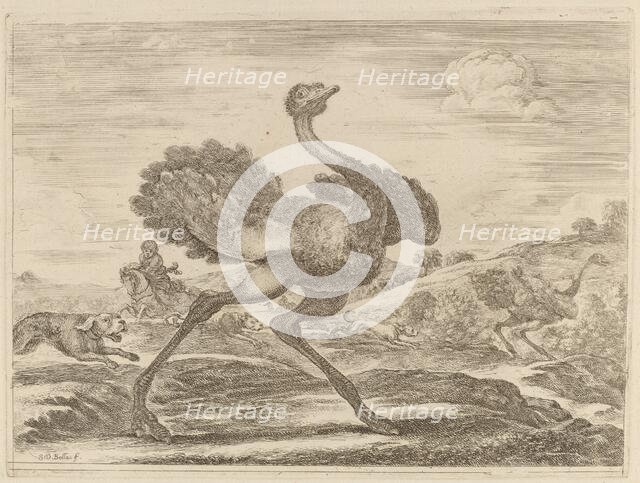 Ostrich Hunt. Creator: Stefano della Bella.