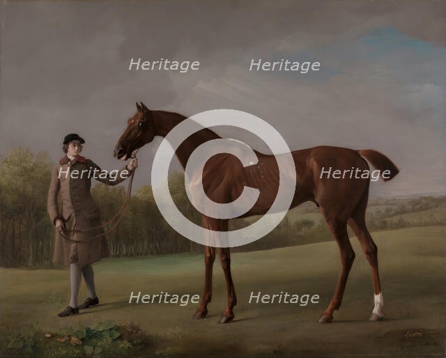 Lustre, held by a Groom, ca. 1762. Creator: George Stubbs.