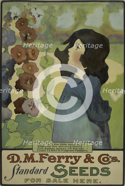 D. M. Ferry & Co's. standard seeds, c1895 - 1917. Creator: Unknown.