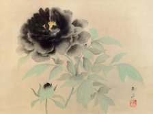 Black Peonies, 1934. Creator: Gyoshu, Hayami (1894-1935).