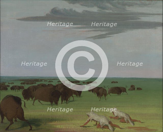 Buffalo Hunt under the Wolf-skin Mask, 1832-1833. Creator: George Catlin.