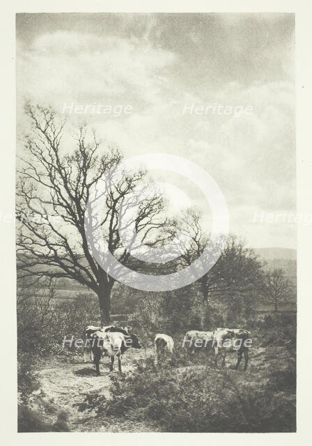 A Windy Corner, 1880/90, printed January 1891. Creator: B. Gay Wilkinson.