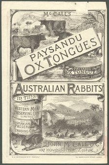 Paysandu ox tongue, 1890s. Artist: Unknown