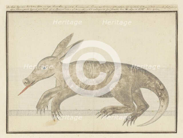 Orycteropus afer (Aardvark), 1777-1786. Creator: Robert Jacob Gordon.