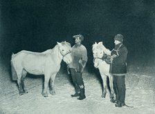 'Petty Officers Crean and Evans Exercising Their Ponies in the Winter', 1911, (1913). Artist: Herbert Ponting.