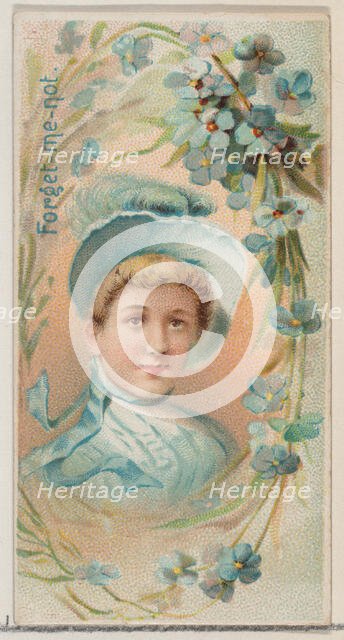 Forget-Me-Not, from the series Floral Beauties and Language of Flowers (N75) for Duke bran..., 1892. Creator: Donaldson Brothers.