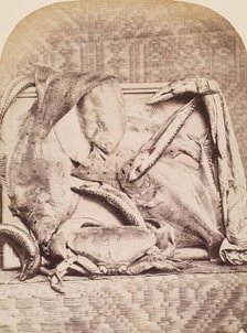 The Catch, Perthshire, from an album compiled by Sir John Everett Millais. Creator: Unknown.