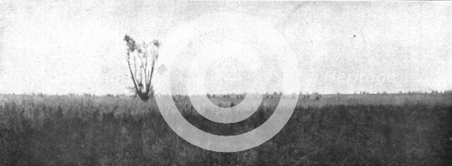 'Notre Attaque du 12 septembre 1916 ; Le saule est depasse ; nos fantassins, detaches en silhouettes Creator: Unknown.