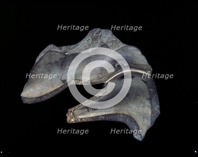 Fragment of carved dish with duck motifs, Early Dynastic Period,  c2950 - c2575 BC. Artist: Unknown.