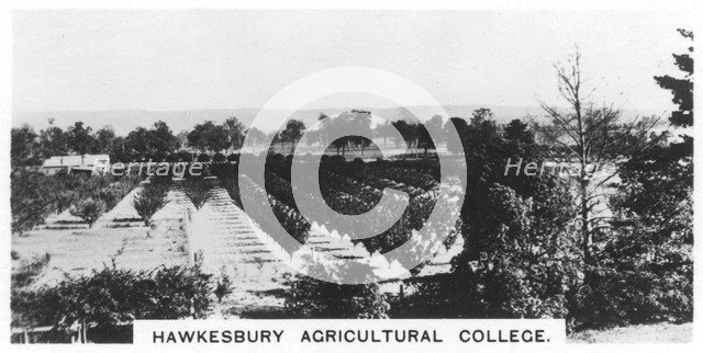 Hawkesbury Agricultural College, New South Wales, Australia, 1928. Artist: Unknown