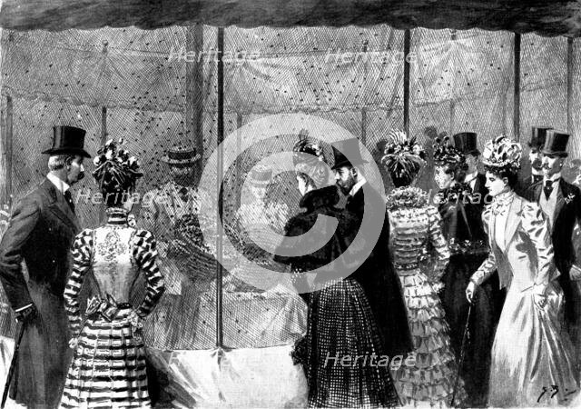 The Duke and Duchess of York at the Agricultural Show, Portsmouth: visiting the apiary, 1898. Creator: Unknown.
