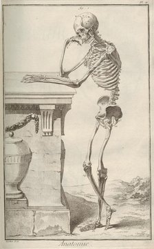 Anatomy. From Encyclopédie by Denis Diderot and Jean Le Rond d'Alembert, 1751-1765. Creator: Anonymous.