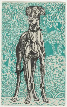 Greyhound, 1912. Creator: Moritz Jung.