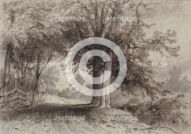 Landscape, 1877. Creator: James David Smillie.