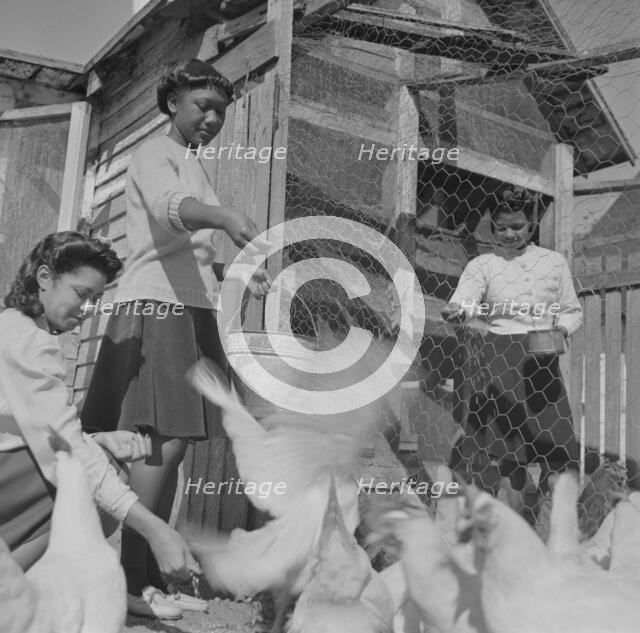 Bethune-Cookman College, Daytona Beach, Florida, 1943. Creator: Gordon Parks.