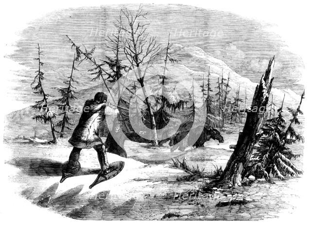 Moose-hunting in Canada - the Attack, 1858. Creator: Unknown.