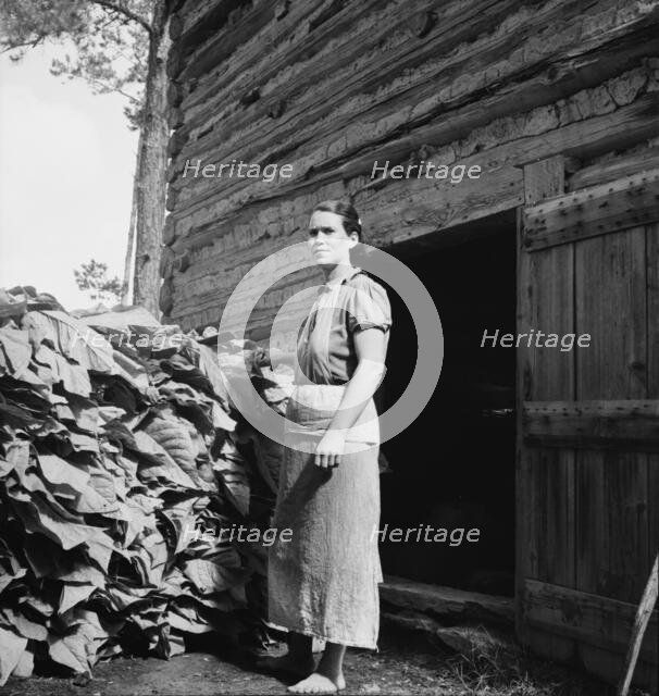 Possibly: Wives of tobacco tenants pile the tobacco..., Granville County, North Carolina, 1939. Creator: Dorothea Lange.
