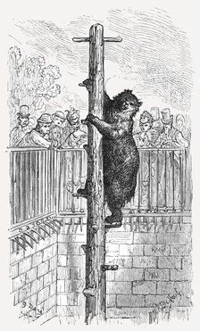 'The Bear Pit - Zoological Gardens', 1872.  Creator: Gustave Doré.