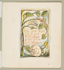 Songs of Innocence and of Experience: The Sick Rose, ca. 1825. Creator: William Blake.
