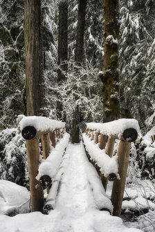 Winter Crossing. Creator: Joshua Johnston.